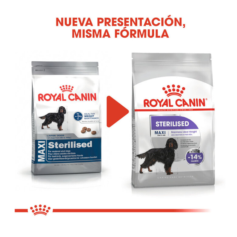 Royal Canin Maxi Sterilised ração para cães, , large image number null